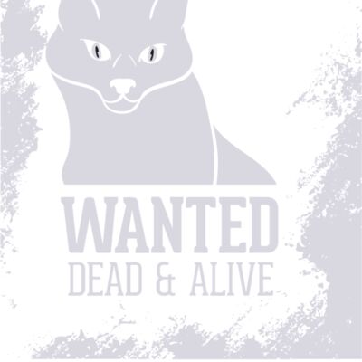 2016 03 14 022 Thumbnail